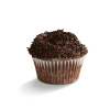 Chocolate Cupcakes